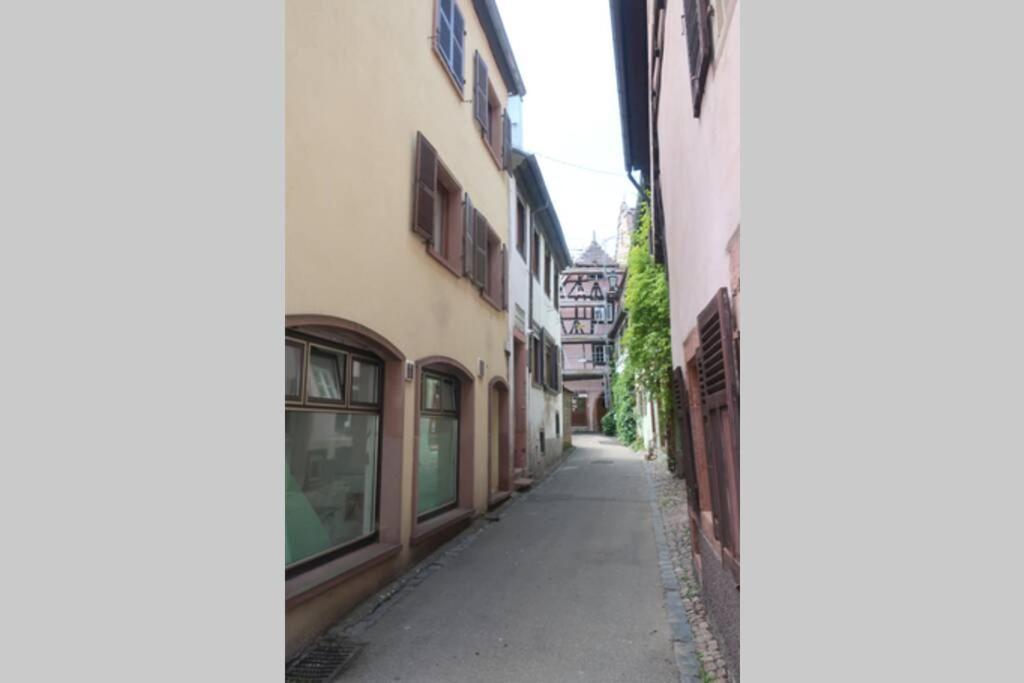 Chey Mybam, Agreable Maison Au Centre De Selestatヴィラ エクステリア 写真